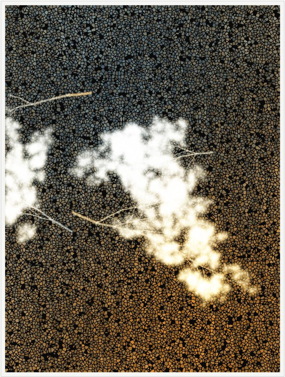 What Algorithms Want — morphogenetic consensus with radial dendritic branches