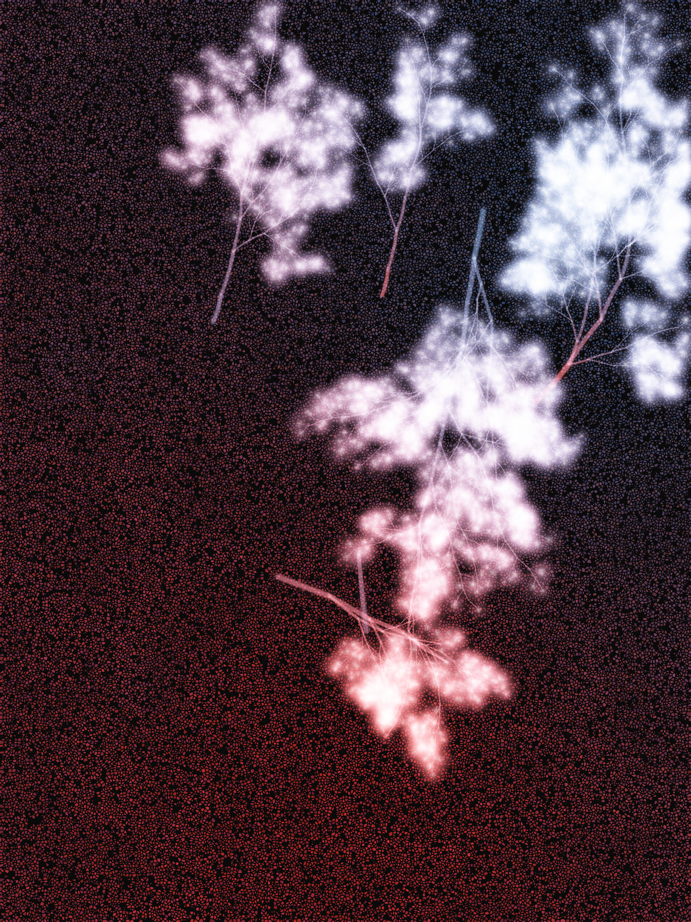 What Algorithms Want #2