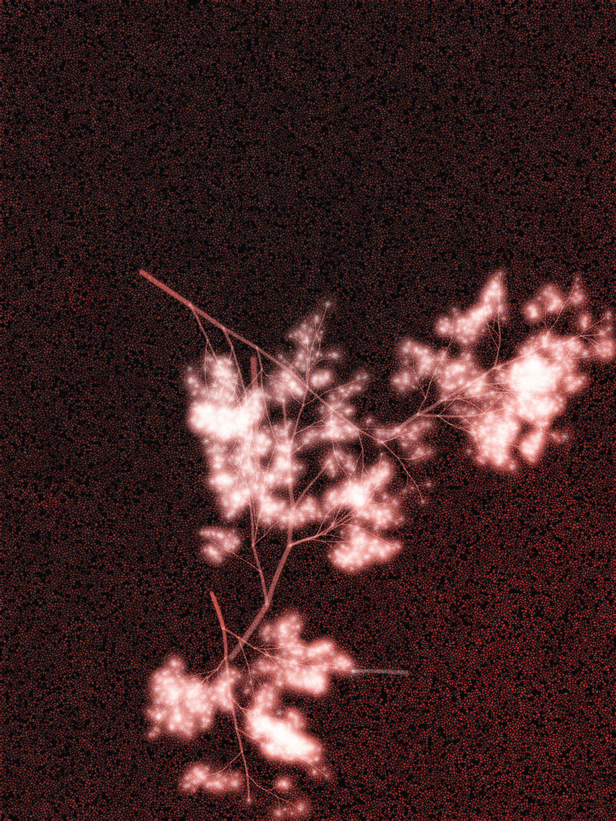 What Algorithms Want #3