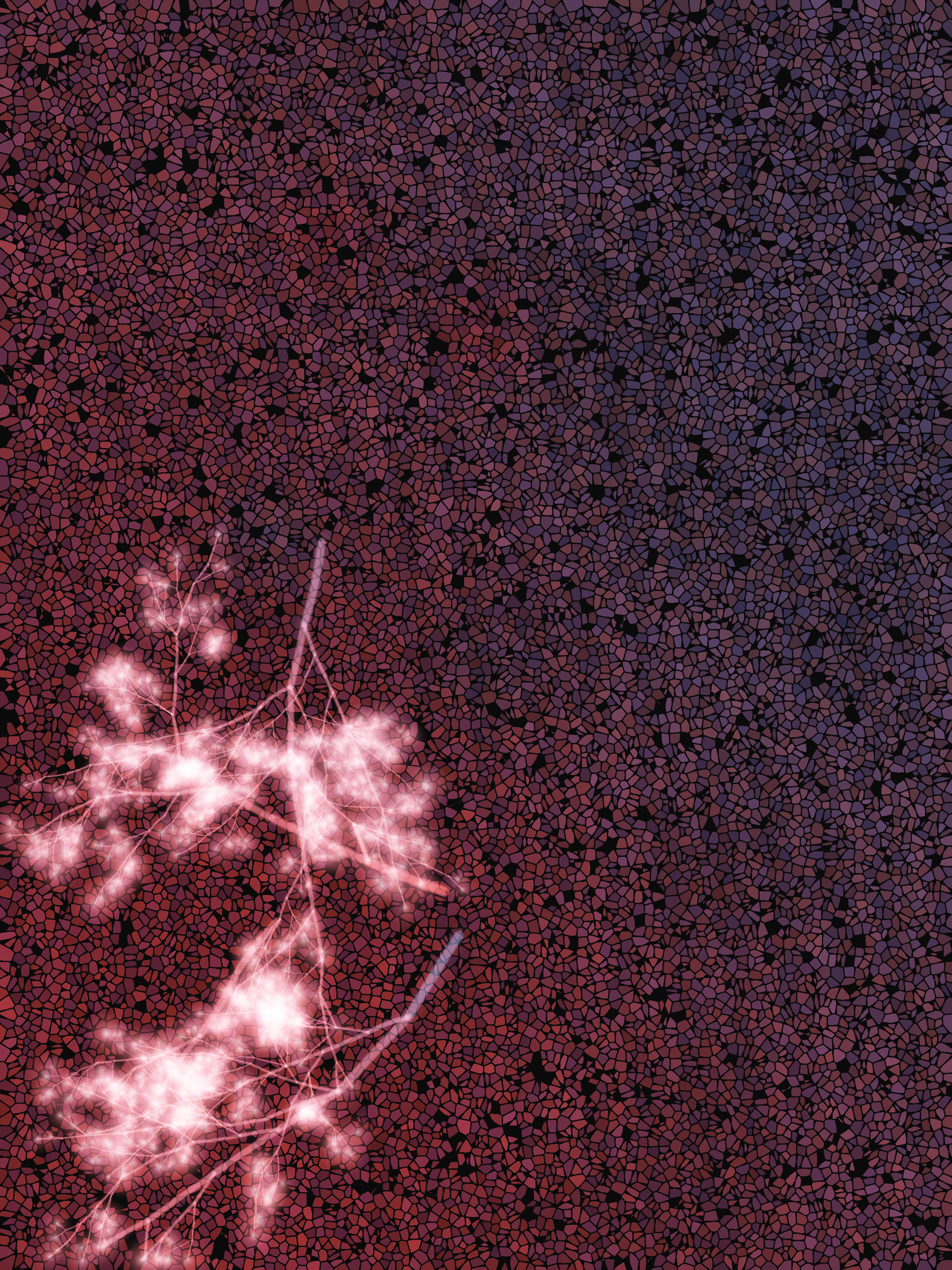 What Algorithms Want #11