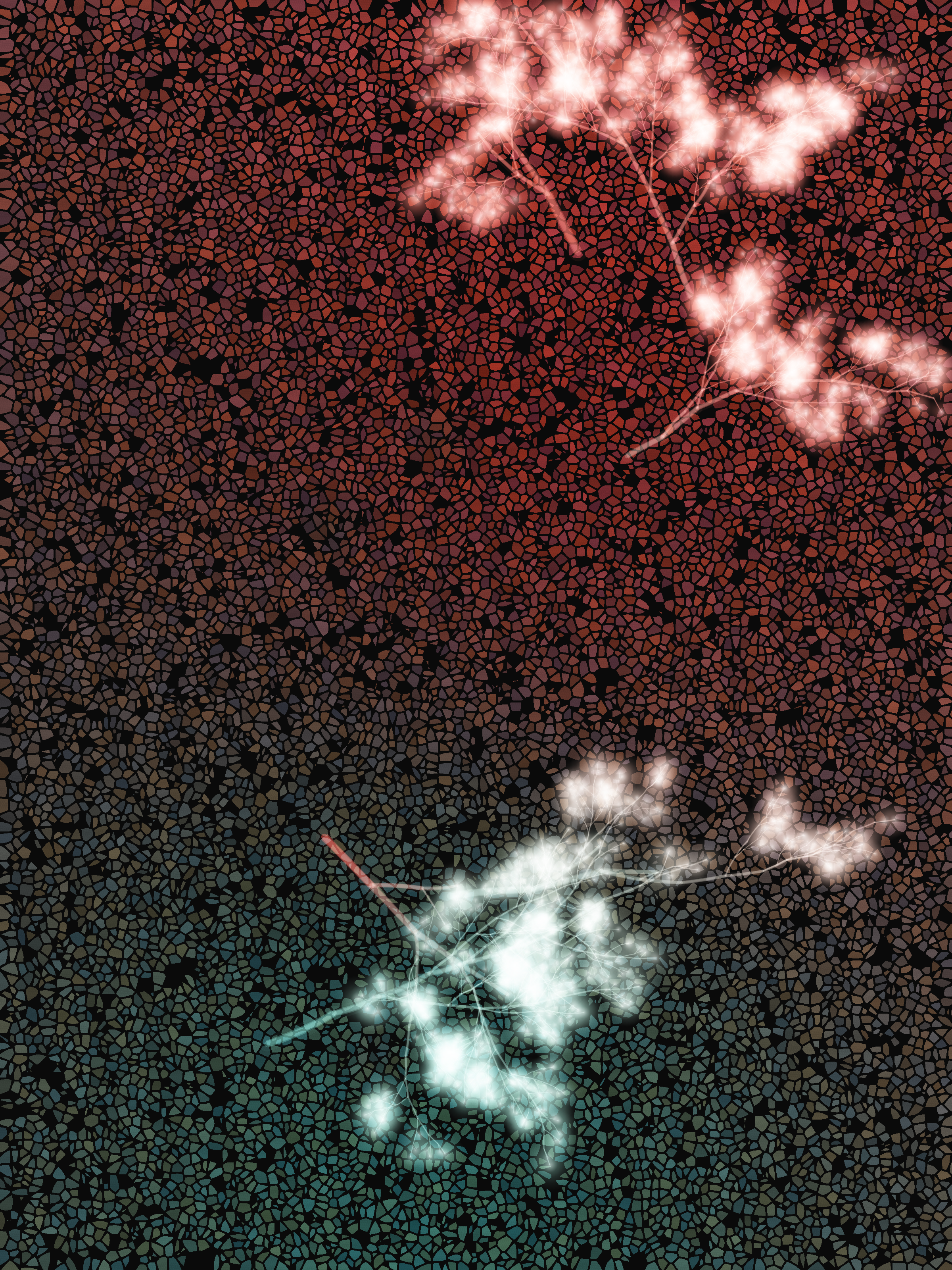 What Algorithms Want #28