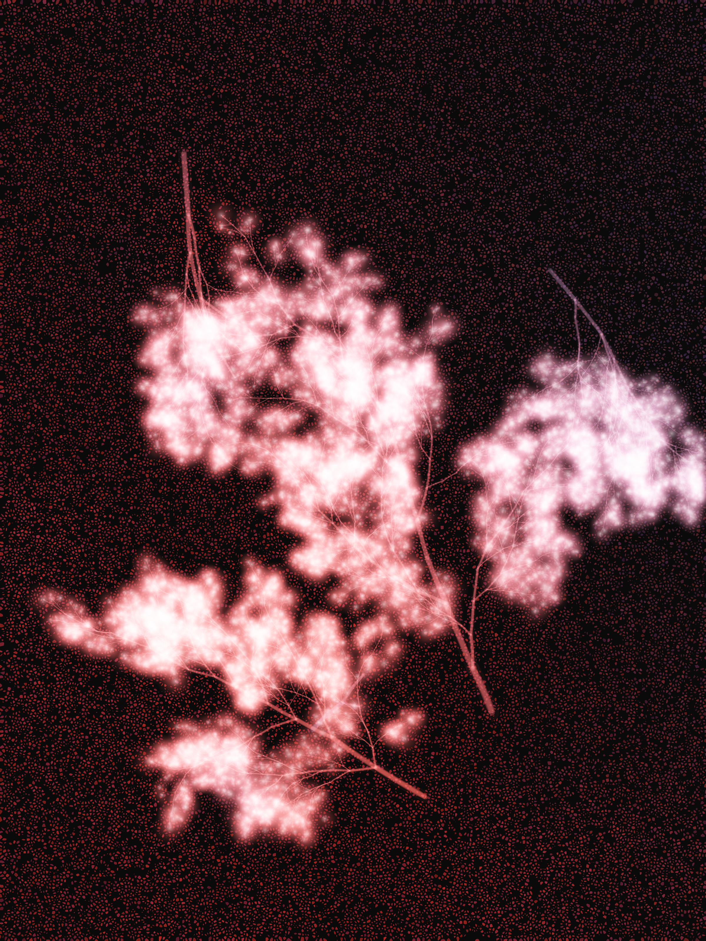 What Algorithms Want #36