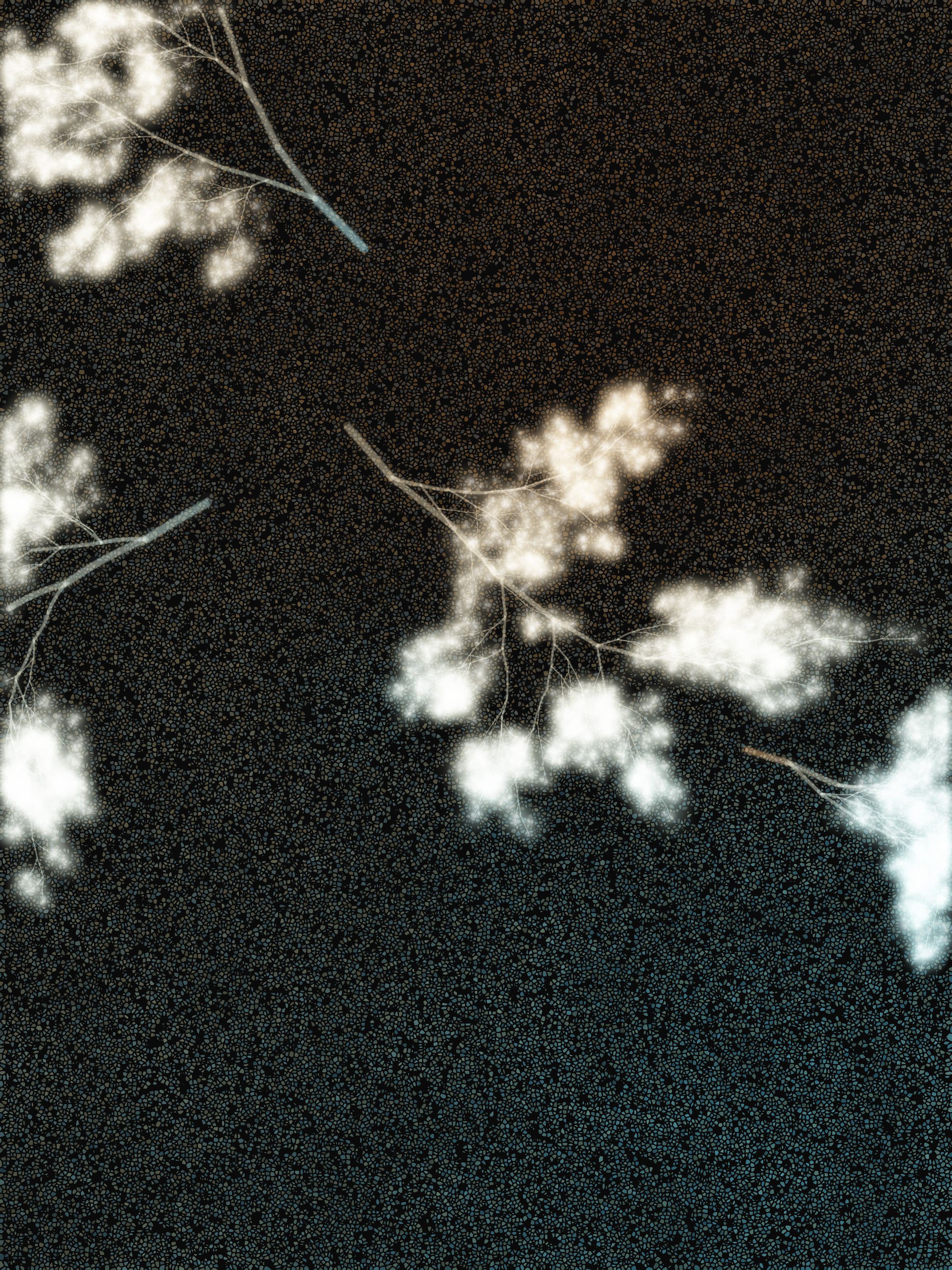 What Algorithms Want #46